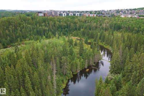 #312 7471 May Cm Nw, Edmonton, AB - Outdoor With Body Of Water With View