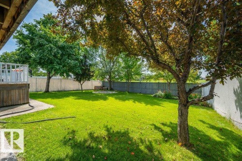 6909 159A Avenue Nw, Edmonton, AB - Outdoor With Backyard