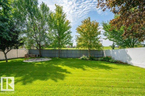 6909 159A Avenue Nw, Edmonton, AB - Outdoor With Backyard