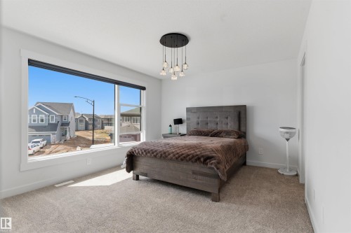 22328 88 Avenue Nw, Edmonton, AB - Indoor Photo Showing Bedroom