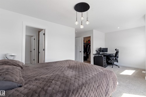 22328 88 Avenue Nw, Edmonton, AB - Indoor Photo Showing Bedroom