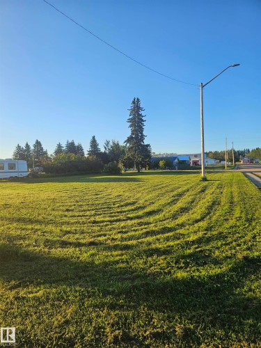 Expansive green space featuring a mown lawn and mature perimeter foliage - 4832 52 Avenue, Wildwood, AB 