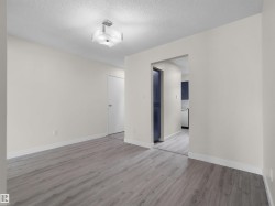 Wood-finish flooring, white walls, and a contemporary ceiling light fixture - 