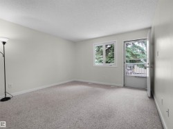 Neutral wall color, light-toned carpet, window with exterior landscaping, and an exterior door with a screen - 