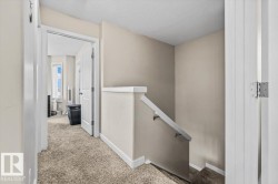 Carpeted hallway with painted walls and a staircase featuring a white handrail - 