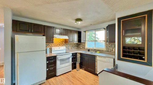3520 17B Avenue Nw, Edmonton, AB - Indoor Photo Showing Kitchen With Double Sink