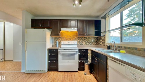 3520 17B Avenue Nw, Edmonton, AB - Indoor Photo Showing Kitchen With Double Sink