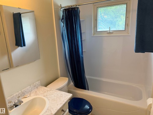 12124 51 Street Nw, Edmonton, AB - Indoor Photo Showing Bathroom