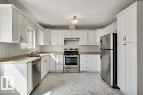 11128 132 Street Nw, Edmonton, AB - Indoor Photo Showing Kitchen With Stainless Steel Kitchen With Double Sink
