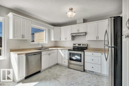 11128 132 Street Nw, Edmonton, AB - Indoor Photo Showing Kitchen With Stainless Steel Kitchen With Double Sink