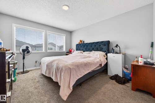 2317 158A Street Sw, Edmonton, AB - Indoor Photo Showing Bedroom
