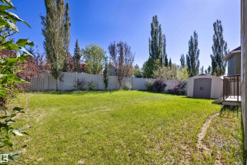 Expansive backyard featuring a manicured lawn, established privacy fencing, mature trees, and a functional storage shed - 2043 Cameron Ravine Way Nw, Edmonton, AB - Outdoor