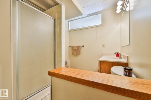 3-pce bath in the lower level - 3764 30 Street Nw, Edmonton, AB - Indoor Photo Showing Bathroom