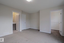 Plush carpet flooring, a walk-in closet with shelving, a bathroom with vanity, and a flush mount ceiling light - 
