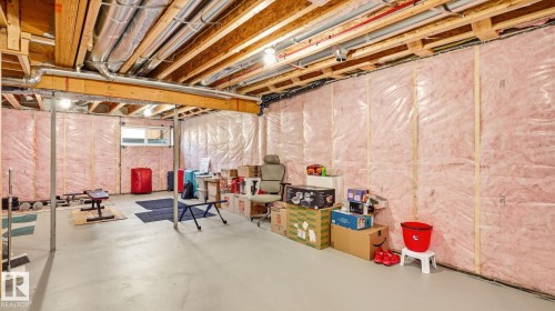 2804 193 Street Nw, Edmonton, AB - Indoor Photo Showing Basement