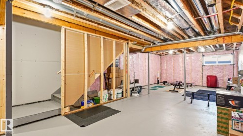 2804 193 Street Nw, Edmonton, AB - Indoor Photo Showing Basement