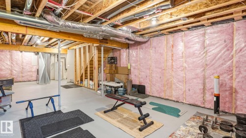 2804 193 Street Nw, Edmonton, AB - Indoor Photo Showing Basement