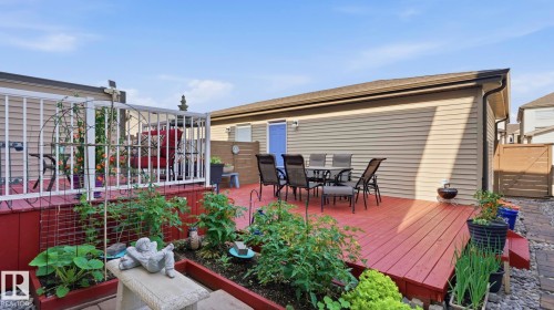 Multi-level outdoor living space featuring a red-stained deck, white railing, and an additional elevated deck - 731 36 Street Sw, Edmonton, AB - Outdoor With Deck Patio Veranda With Exterior