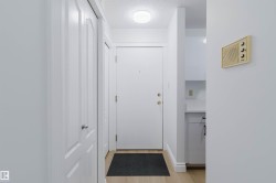 Light wood-finish flooring with white baseboards - 