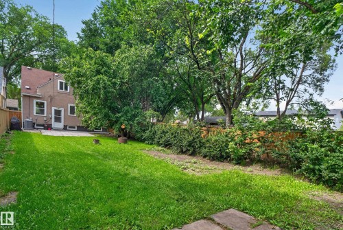 Expansive lawn with mature perimeter trees, a paved patio, and established shrubbery - 11549 88 Street Nw, Edmonton, AB - Outdoor
