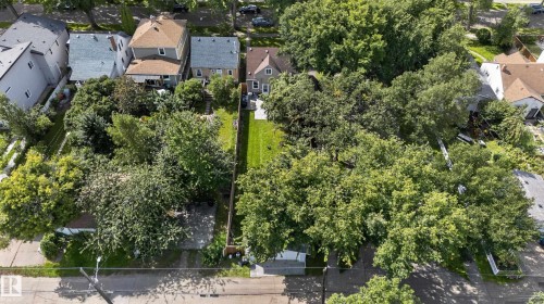 Expansive lot featuring a large lawn area and mature trees - 11549 88 Street Nw, Edmonton, AB - Outdoor