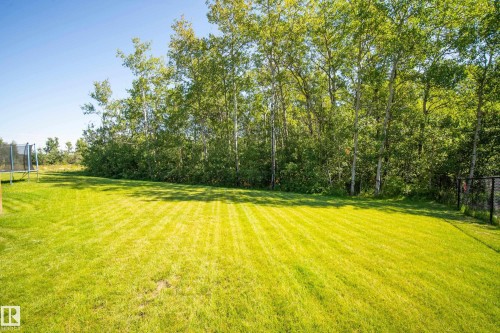 52 Harvest Crescent, Ardrossan, AB - Outdoor