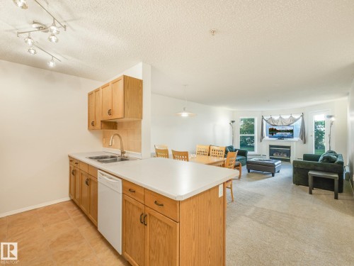 #114 10511 42 Av Nw, Edmonton, AB - Indoor Photo Showing Kitchen With Fireplace With Double Sink