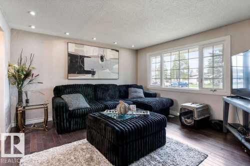 11447 39 Avenue Nw, Edmonton, AB - Indoor Photo Showing Living Room