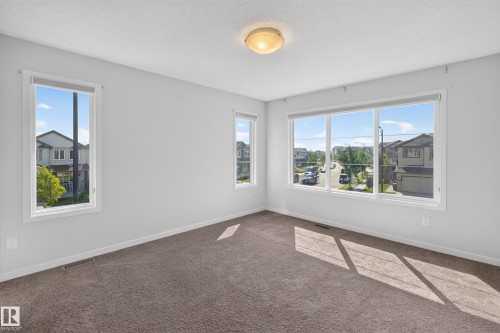 Wall-to-wall carpeting, multiple windows providing natural illumination, and a ceiling-mounted light fixture - 1404 25 Avenue Nw, Edmonton, AB - Indoor Photo Showing Other Room