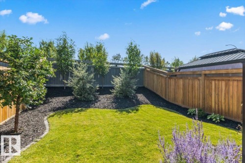 Expansive green lawn with a curved paver border, perimeter wood fencing, and mature trees - 1014 Daniels Loop Sw, Edmonton, AB - Outdoor