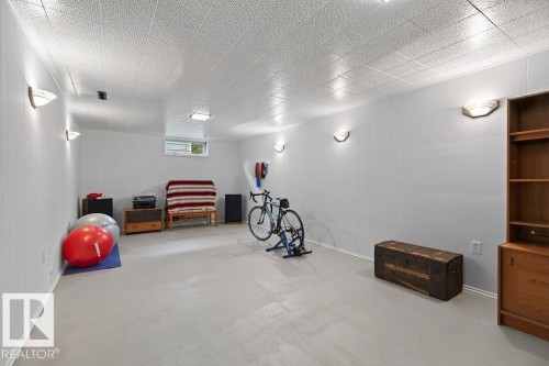 3824 114 Avenue Nw, Edmonton, AB - Indoor Photo Showing Basement