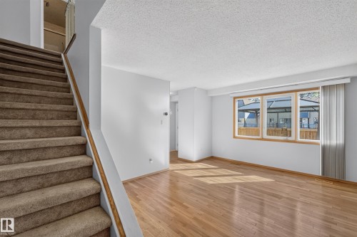 Hardwood flooring, natural wood window trim, large windows, carpeted staircase, and a wood handrail - 23 Willowdale Place Nw, Edmonton, AB 