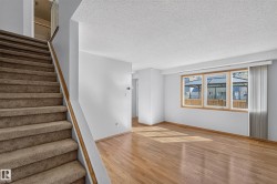 Hardwood flooring, natural wood window trim, large windows, carpeted staircase, and a wood handrail - 