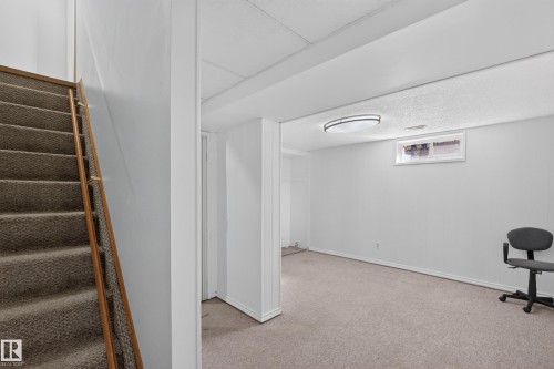 Carpeted staircase with wood handrail, leading to a carpeted room with a flush-mount ceiling light fixture and a window - 23 Willowdale Place Nw, Edmonton, AB 