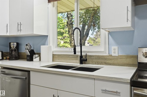 8423 Mill Woods Road Nw, Edmonton, AB - Indoor Photo Showing Kitchen With Double Sink
