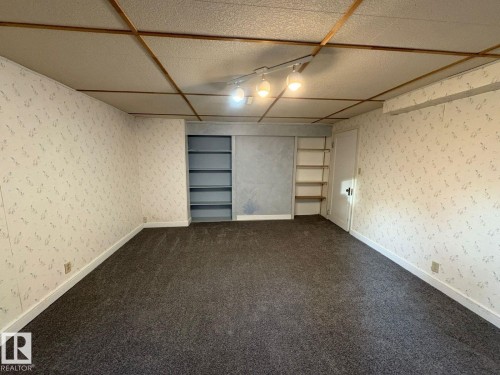 Textured wallpaper, track lighting, built-in shelving, and dark gray carpeting - 9733 143 Street Nw, Edmonton, AB - Indoor Photo Showing Garage
