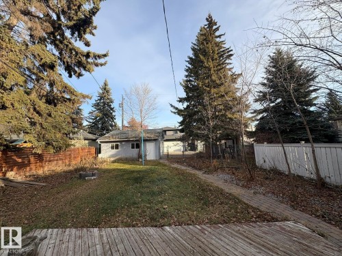 Spacious backyard featuring a wooden deck, mature evergreen trees, and a detached structure with siding - 9733 143 Street Nw, Edmonton, AB - Outdoor
