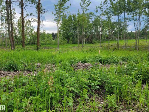 Third Avenue Range Rd 222 (Sec Hwy 824), Ardrossan, AB 