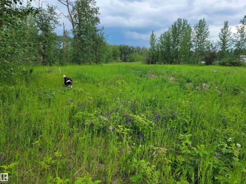 Third Avenue Range Rd 222 (Sec Hwy 824), Ardrossan, AB 