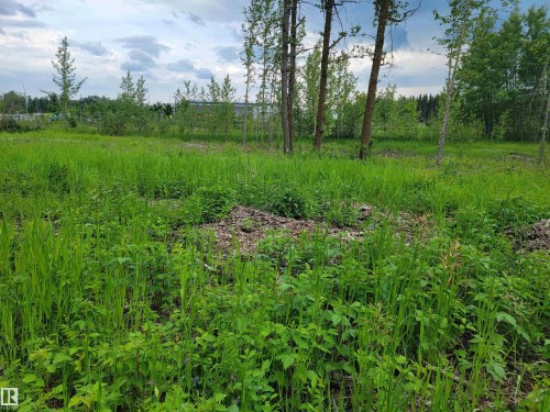 Third Avenue Range Rd 222 (Sec Hwy 824), Ardrossan, AB 