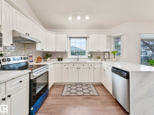 1217 115A Street Nw, Edmonton, AB - Indoor Photo Showing Kitchen