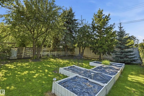13 Sylvan Drive, St. Albert, AB - Outdoor
