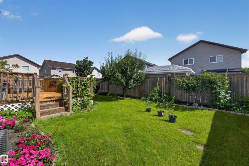Expansive backyard featuring a natural wood deck, green lawn, established perimeter fencing, and mature trees - 16515 139 Street Nw, Edmonton, AB - Outdoor