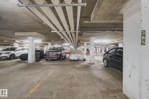 Underground parking facility with concrete flooring, overhead piping, and exposed structural columns - #226 17011 67 Av Nw, Edmonton, AB - Indoor Photo Showing Garage