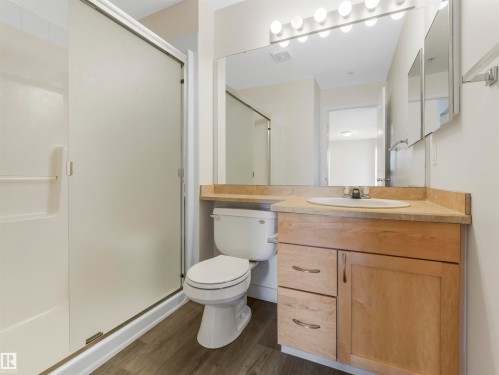 #216 111 Edwards Dr Sw, Edmonton, AB - Indoor Photo Showing Bathroom