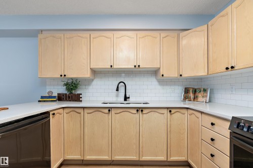 #124 15499 Castle Downs Rd Nw, Edmonton, AB - Indoor Photo Showing Kitchen With Double Sink