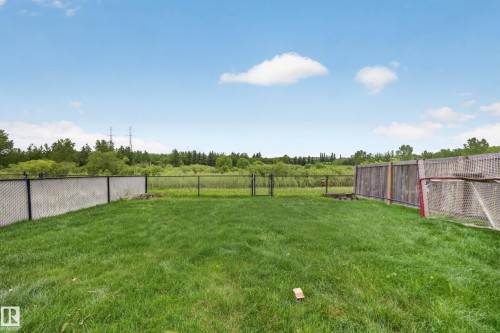 Expansive fenced yard with a manicured lawn and mature trees beyond the property line - 2518 33A Avenue Nw, Edmonton, AB - Outdoor