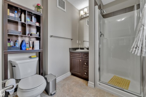 #24 655 Tamarack Rd Nw, Edmonton, AB - Indoor Photo Showing Bathroom