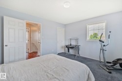 Room featuring light blue walls and dark carpet flooring - 