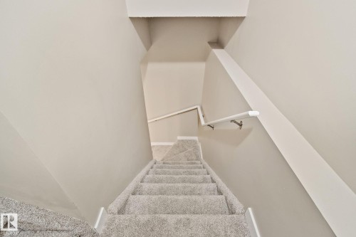 Carpeted staircase featuring a light gray palette, white wall-mounted handrails, and coordinated baseboards - 3769 21 Street Nw, Edmonton, AB - Indoor Photo Showing Other Room